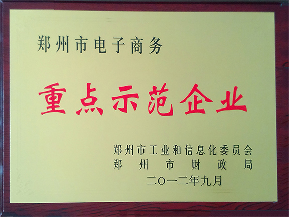 電子商務(wù)示范企業(yè)