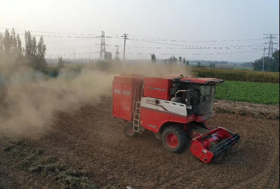 中聯(lián)收獲花生機幫我解決了家里的經(jīng)濟危機 1637232607267289.jpg