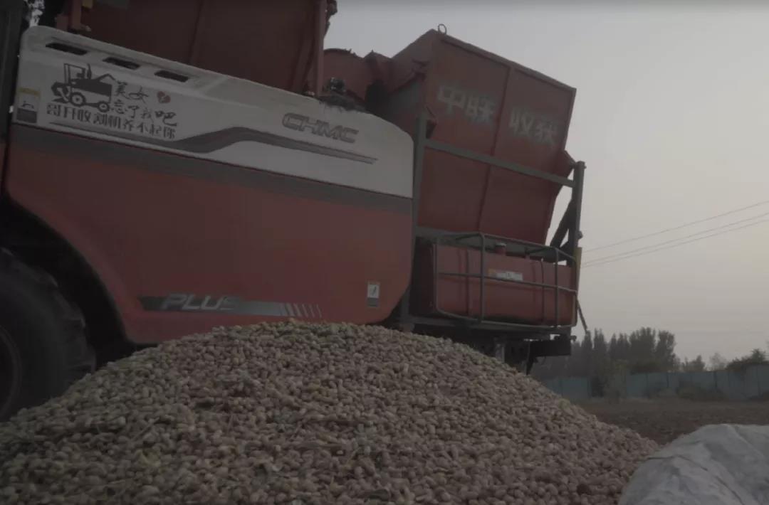 中聯(lián)收獲花生機幫我解決了家里的經(jīng)濟危機 1637232667921070.jpg