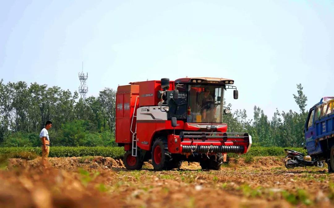 中聯(lián)收獲自走式花生撿拾收獲機(jī)——花生收獲界的“扛把子” 扛把子2.jpg