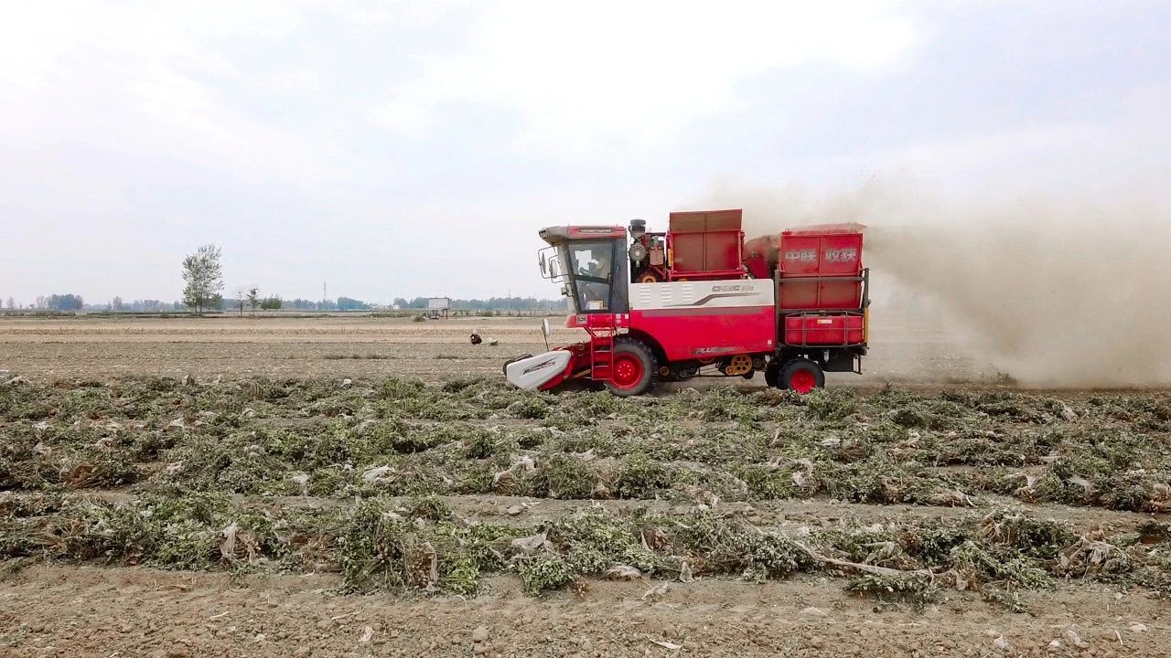 唐山豐南區(qū)王峰：故障少，馬力大，每天140畝，中聯(lián)收獲H6花生機(jī)真不錯(圖2)
