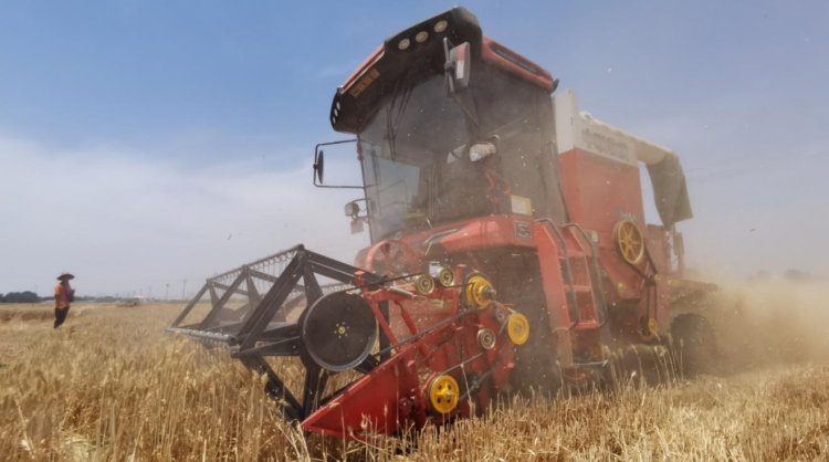 來(lái)自90后經(jīng)銷商的認(rèn)可：從小接觸新疆—2小麥機(jī)，對(duì)中聯(lián)收獲完全認(rèn)可(圖3)