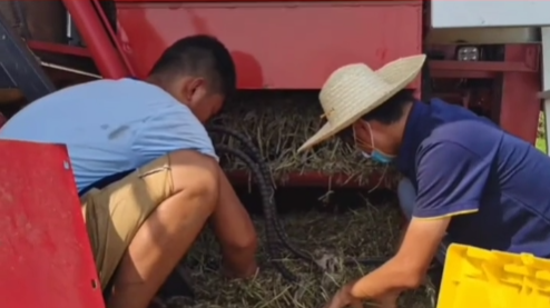 張新龍命運(yùn)的齒輪開(kāi)始轉(zhuǎn)動(dòng)源于中聯(lián)收獲 640 (3).png