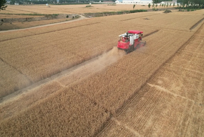 邯鄲魏縣常振明:我的
臺(tái)谷物聯(lián)合收割機(jī)——中聯(lián)收獲“新疆-9” xmsgj-2.png