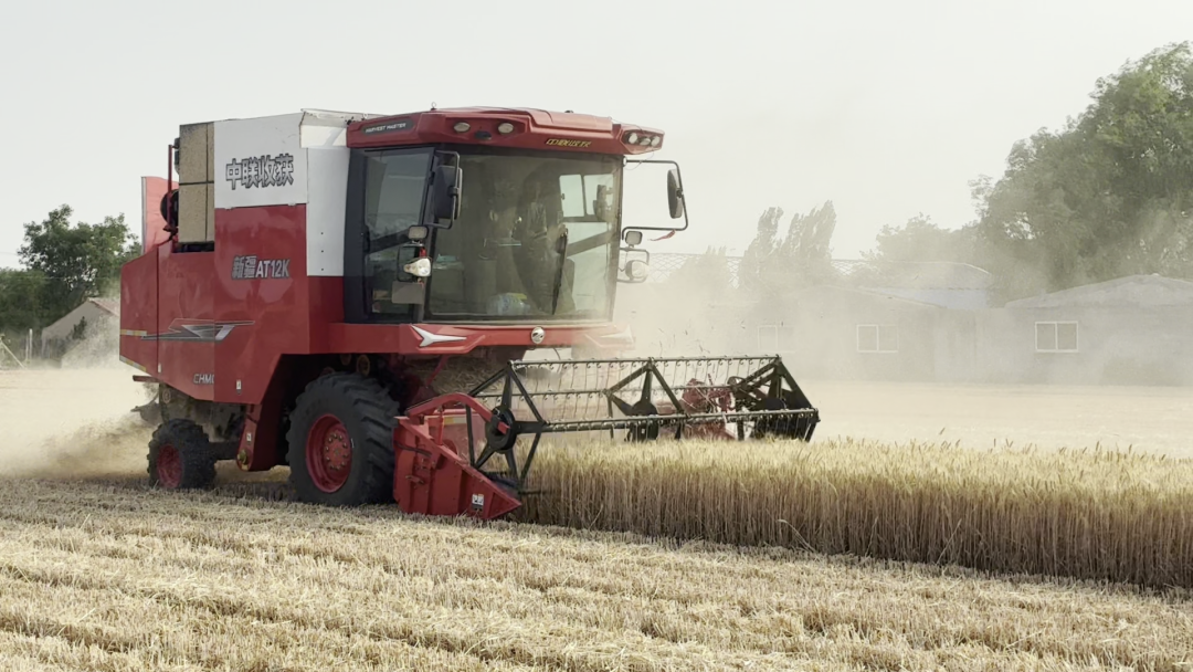 30年只做一件事:為什么越來越多農(nóng)機(jī)手認(rèn)準(zhǔn)「中聯(lián)收獲」?(圖8)